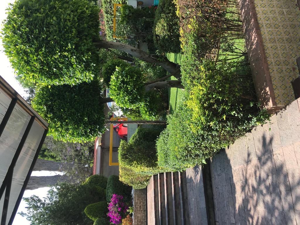 مدينة مكسيكو Grupo Kings Suites - Bosque De Duraznos 72 المظهر الخارجي الصورة